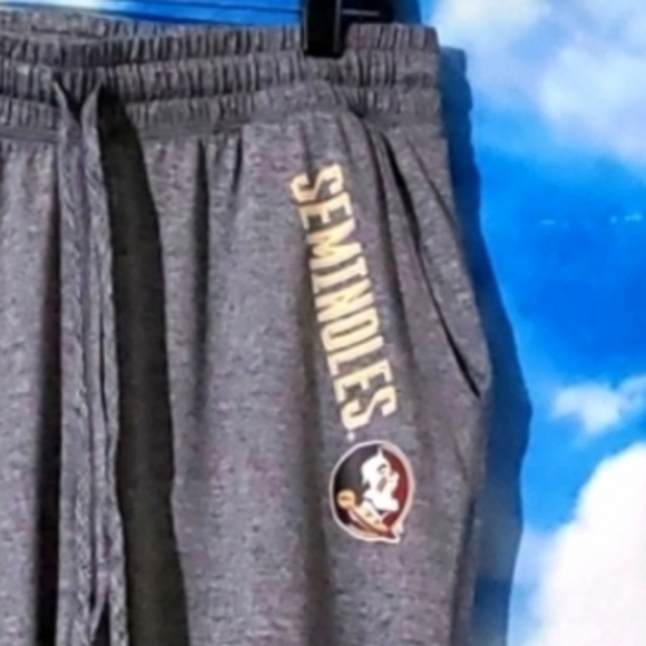 SEMINOLES women's lounge sweat pant W/POCKETS size M ( 8/10 ) - Picture 1 of 4